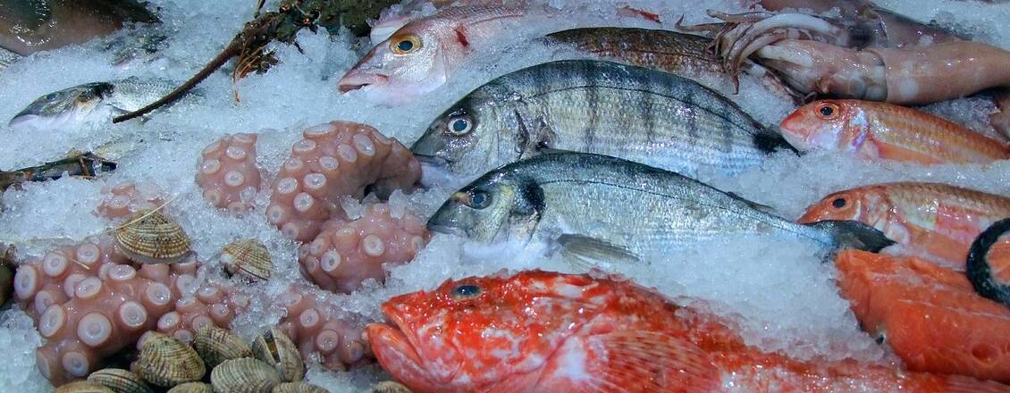 Frische Fischtheke mit Meeresfrüchten